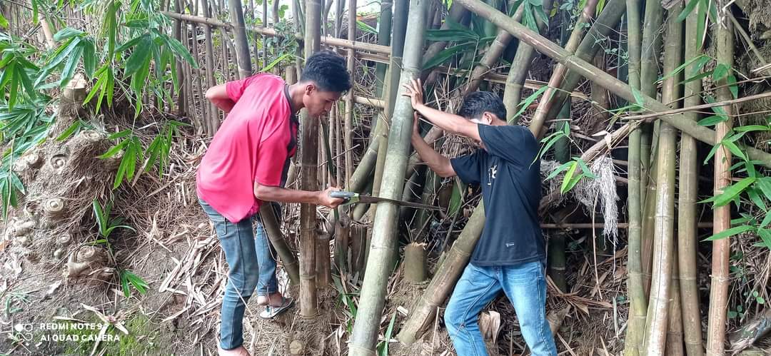 BAMBU DAN GERGAJI : SUDUT PANDANG PECINTA SENI